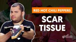 scar tissue red hot chili pepper 1